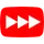 Youtube Summary