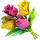 Flowershow