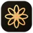 Logo of Ideogram4io