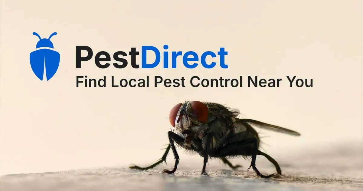Pest Direct image number 01