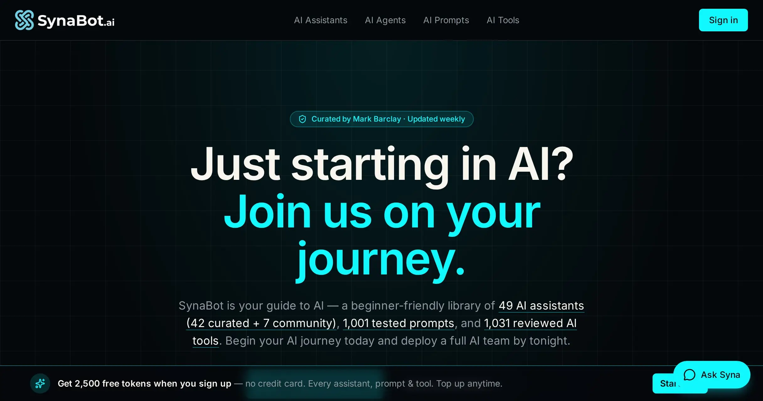 SynaBot AI image number 01