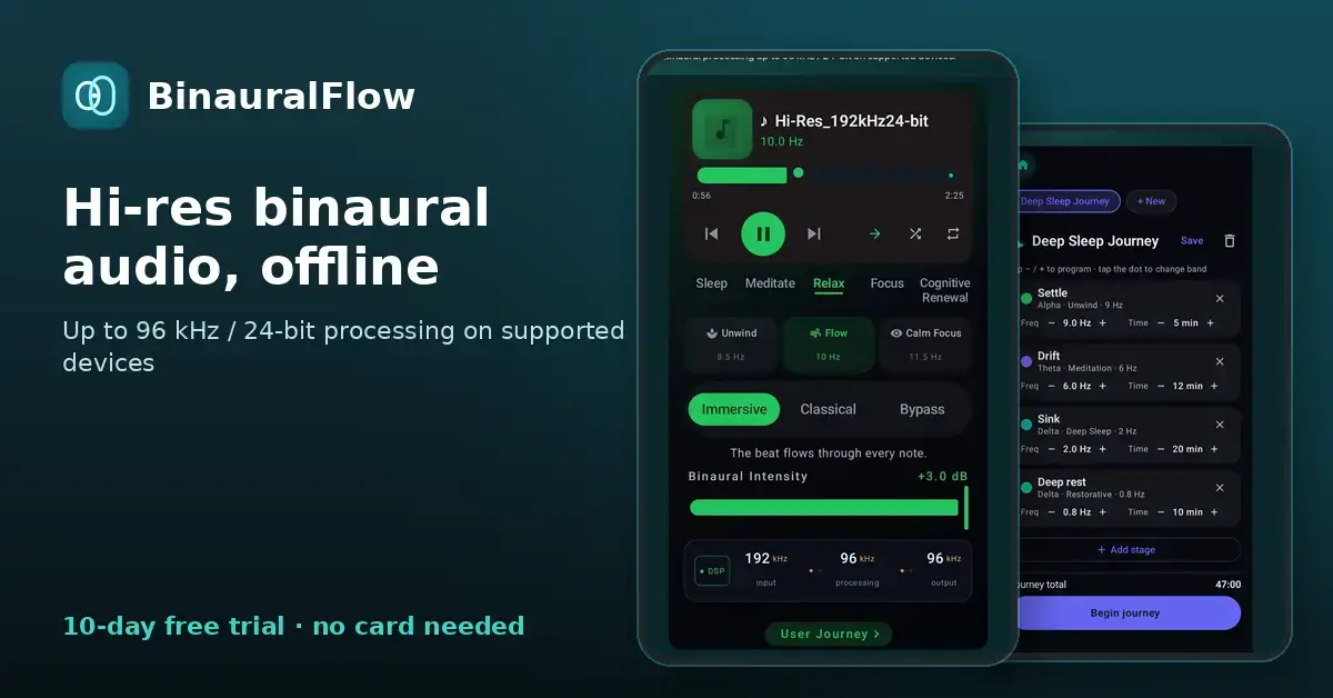 BinauralFlow image number 21