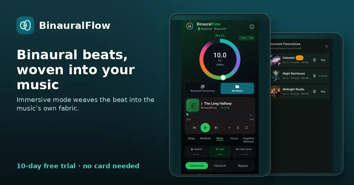 BinauralFlow image number 31