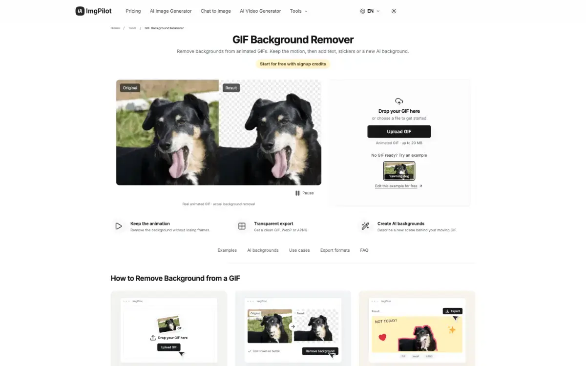 ImgPilot-GIFBG image number 21