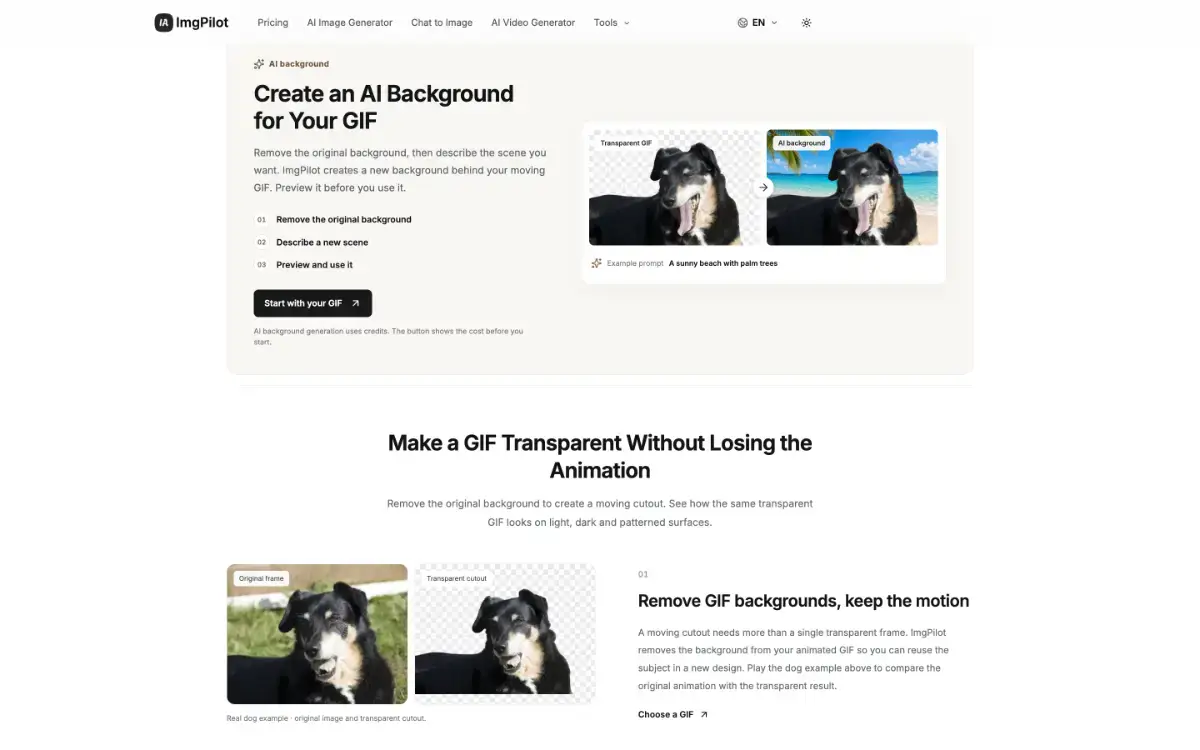 ImgPilot-GIFBG image number 31