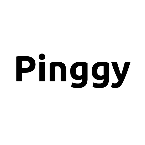  PINGGY
