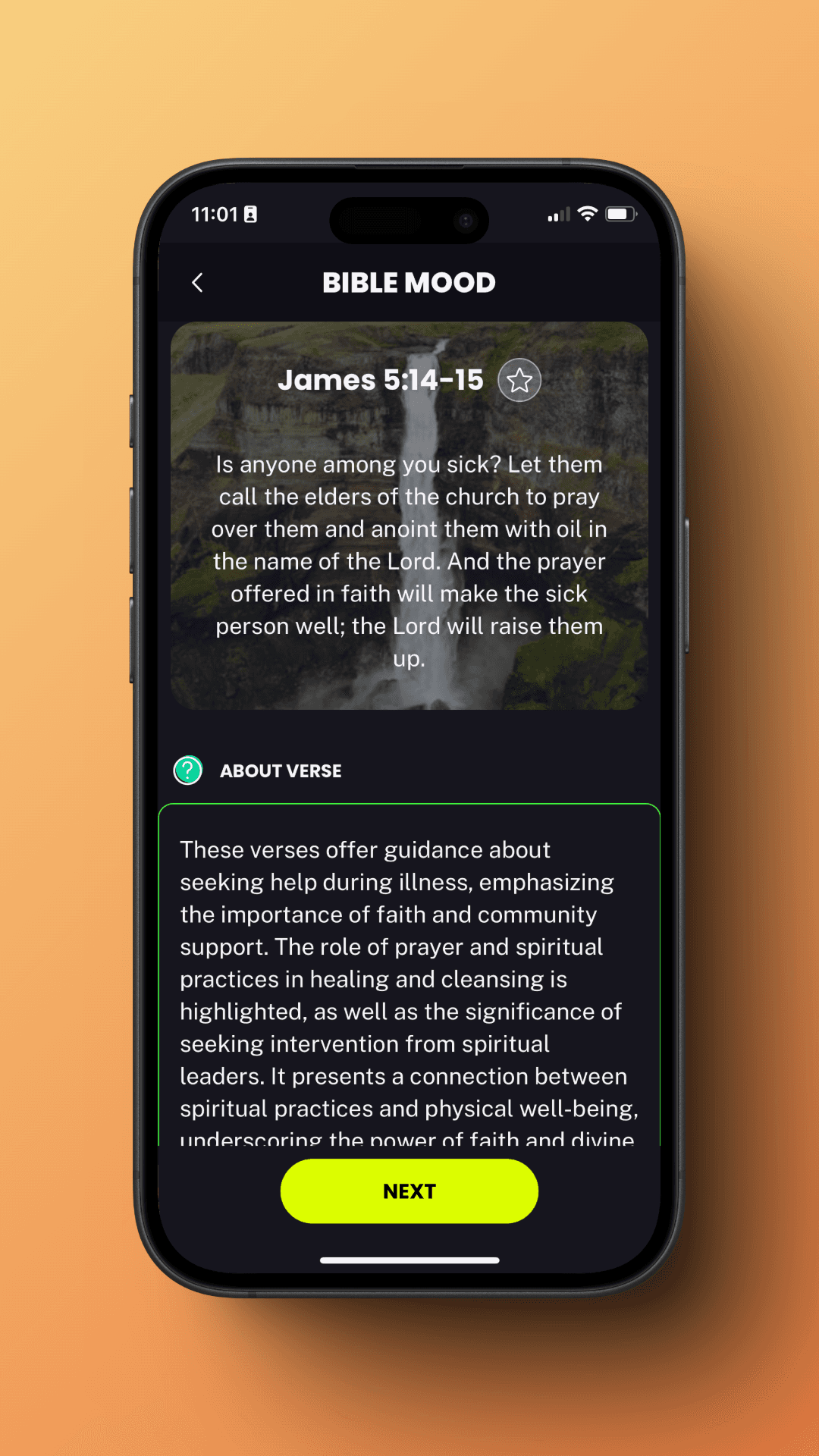 Detailed view of James 5:14-15 with contextual information